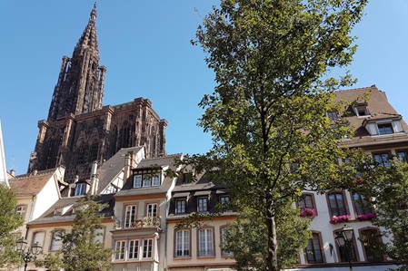 Straßburg_Stadtführung_Münster